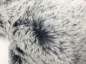 Preview: Elja® Katze Charly 3,0